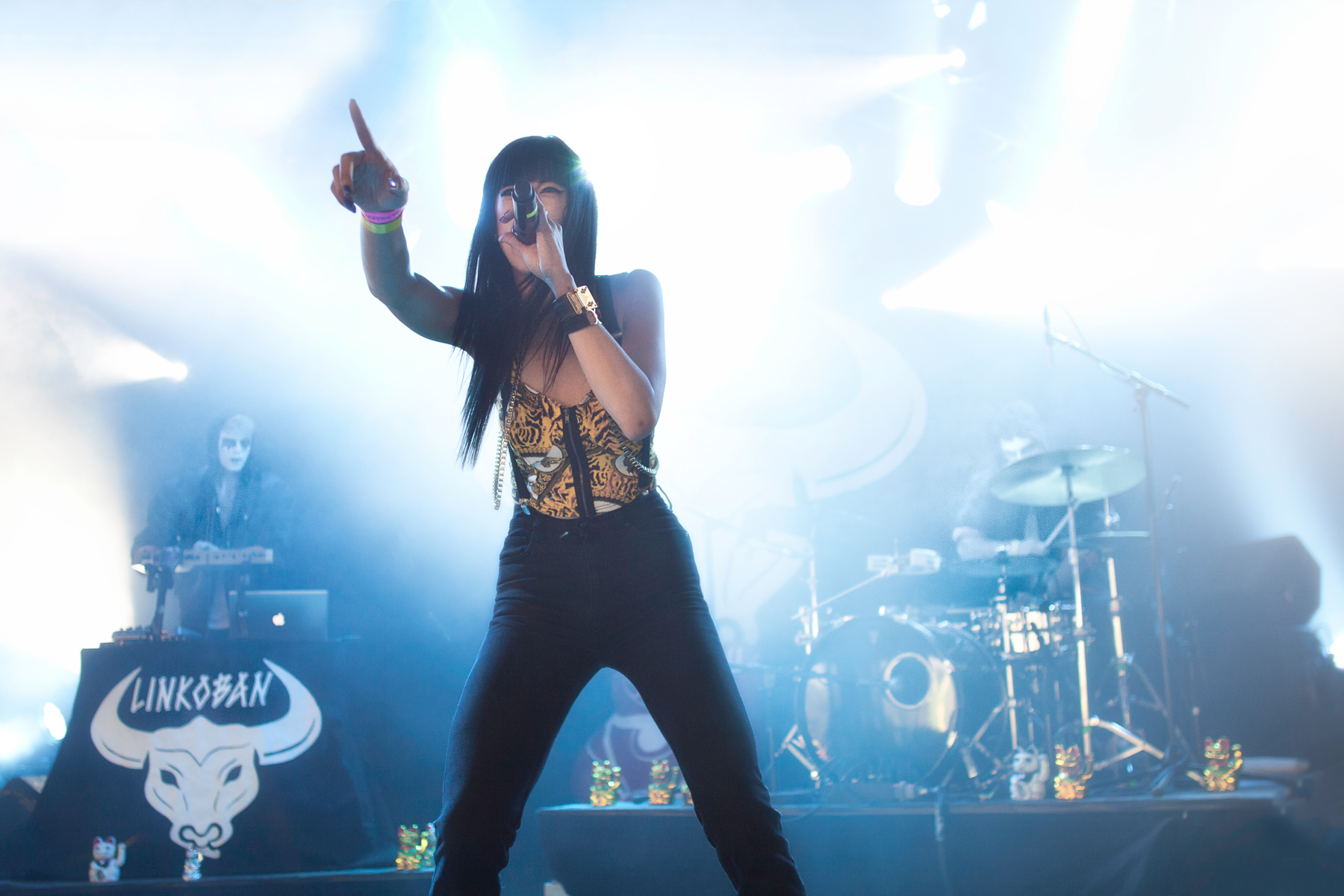 Linkoban performing at the stage: Pavilion Junior, Roskilde Festival 2012